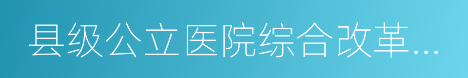 县级公立医院综合改革试点的同义词