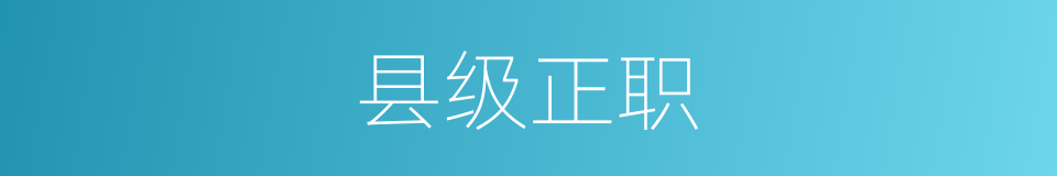 县级正职的同义词