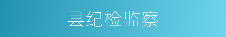 县纪检监察的同义词