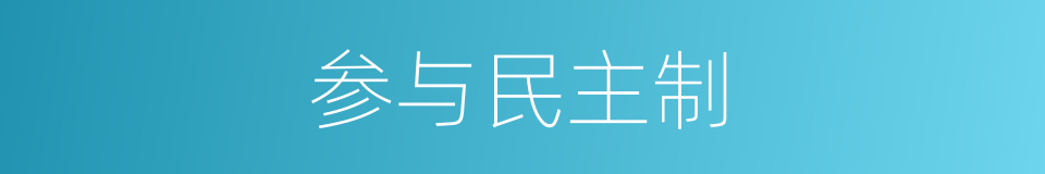 参与民主制的同义词