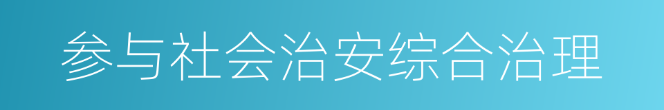 参与社会治安综合治理的同义词