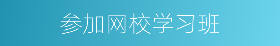 参加网校学习班的同义词