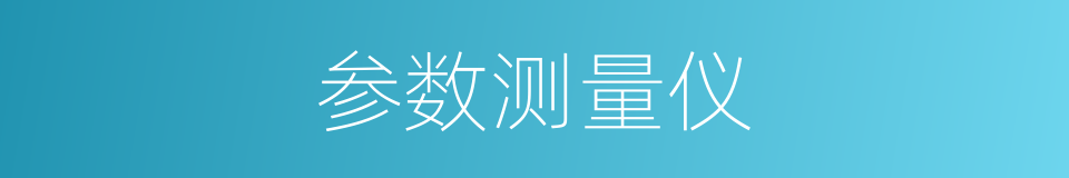 参数测量仪的同义词