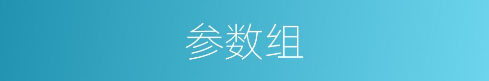 参数组的同义词