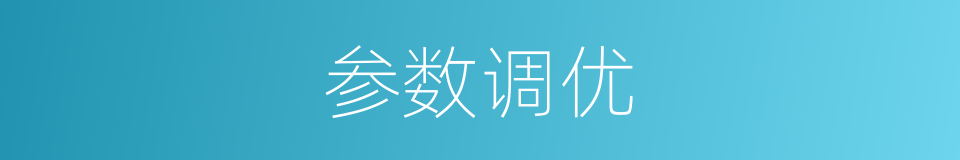 参数调优的同义词