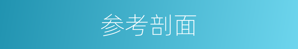 参考剖面的同义词