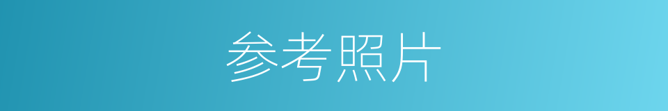 参考照片的同义词