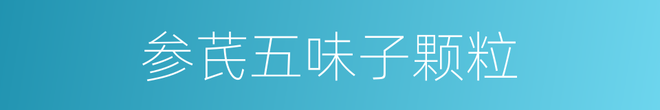 参芪五味子颗粒的同义词