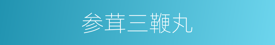 参茸三鞭丸的同义词