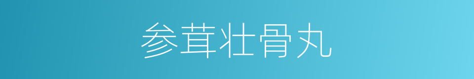 参茸壮骨丸的同义词
