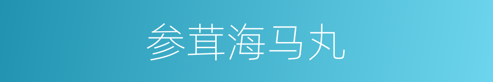 参茸海马丸的同义词