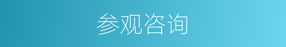参观咨询的同义词