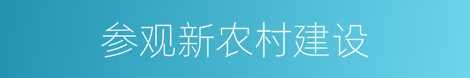 参观新农村建设的同义词