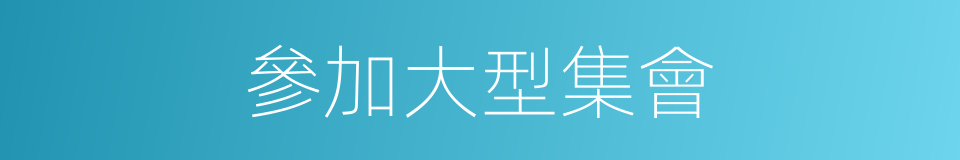 參加大型集會的同義詞