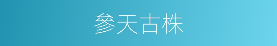 參天古株的同義詞