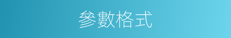 參數格式的同義詞