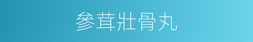 參茸壯骨丸的同義詞