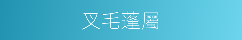 叉毛蓬屬的同義詞