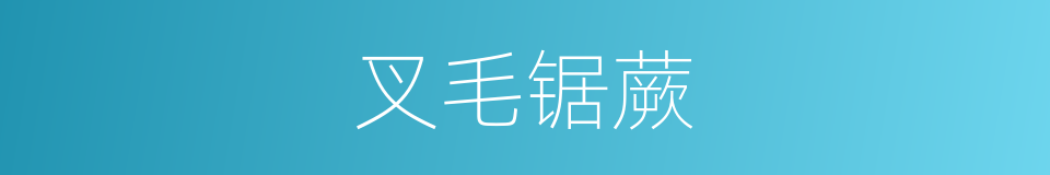 叉毛锯蕨的同义词