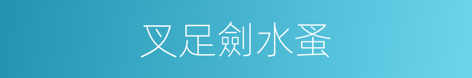 叉足劍水蚤的同義詞