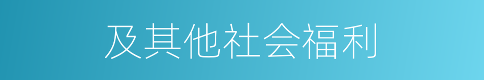 及其他社会福利的同义词