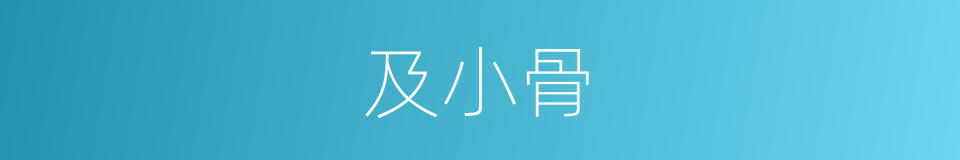 及小骨的同义词