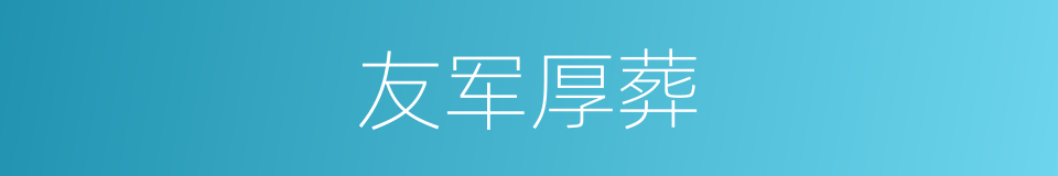 友军厚葬的同义词