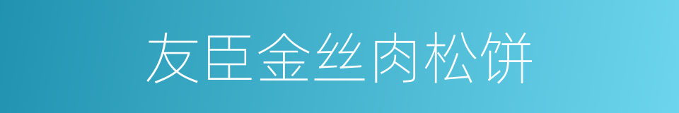 友臣金丝肉松饼的同义词