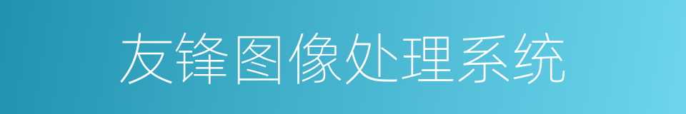 友锋图像处理系统的同义词
