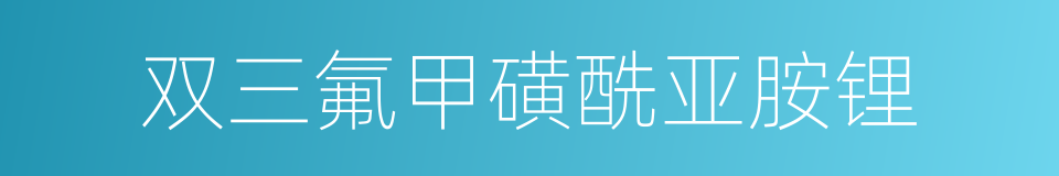 双三氟甲磺酰亚胺锂的同义词