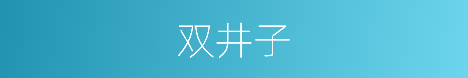 双井子的同义词