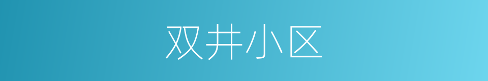 双井小区的同义词