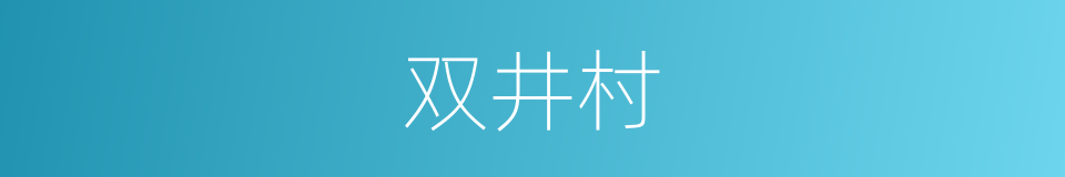 双井村的同义词