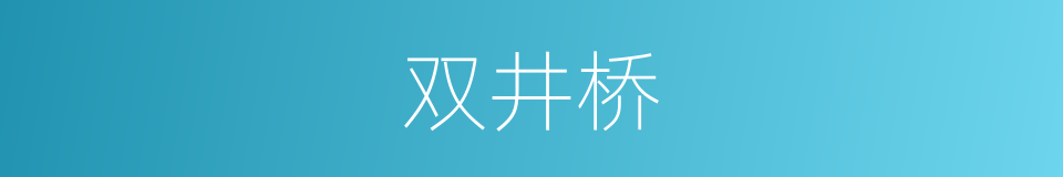 双井桥的同义词