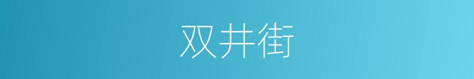 双井街的同义词