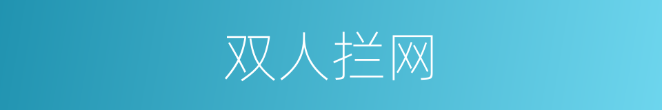 双人拦网的同义词