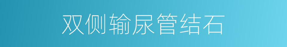 双侧输尿管结石的同义词
