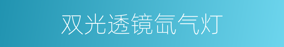 双光透镜氙气灯的同义词