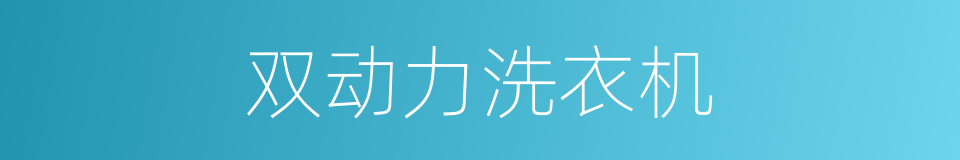 双动力洗衣机的同义词