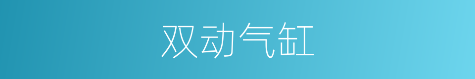 双动气缸的同义词