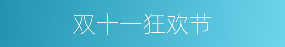 双十一狂欢节的同义词