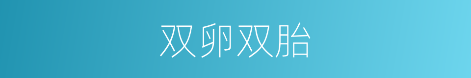 双卵双胎的同义词
