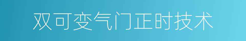 双可变气门正时技术的同义词