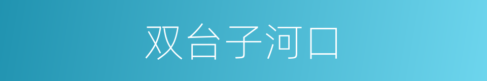 双台子河口的同义词