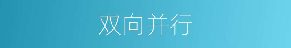 双向并行的同义词