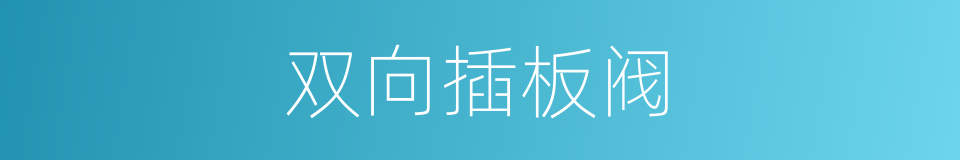 双向插板阀的同义词