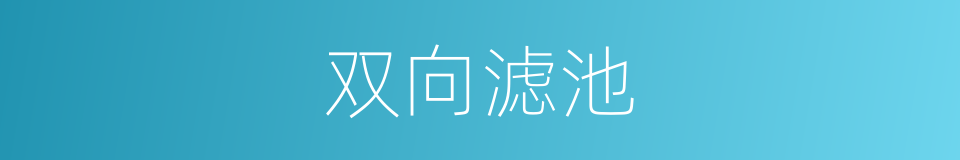 双向滤池的同义词
