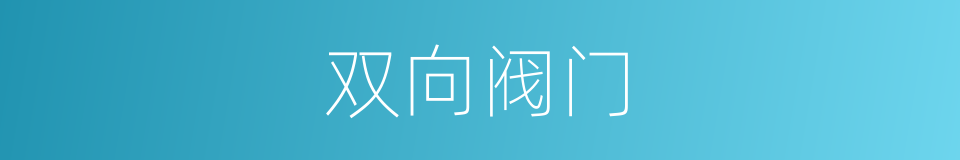 双向阀门的同义词