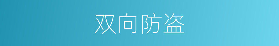 双向防盗的同义词