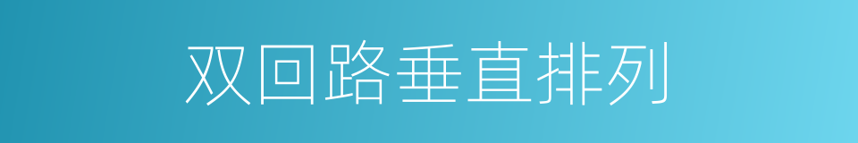 双回路垂直排列的同义词
